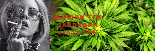 2c-b Алзамай
