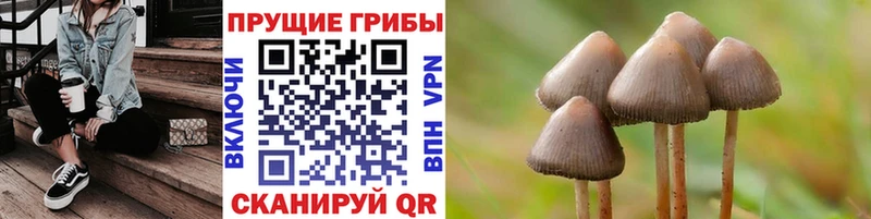 Галлюциногенные грибы Psilocybe  Арамиль 